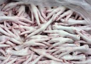 牲畜批發零售市場全解析 價格、廠家與全球采購趨勢